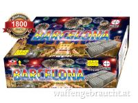 BATTERIEFEUERWERK BEI SHOOTINGSTORE FREISTADT