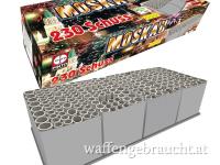 BATTERIEFEUERWERK BEI SHOOTINGSTORE FREISTADT