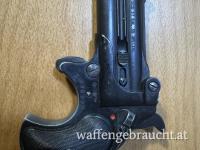 Derriger Cal. 38 Special