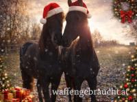 Frohe Weihnachten 🎄 wünscht Waffen Hager