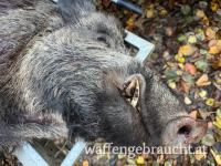 Urlaub mit Jagdmöglichkeit