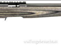 Ruger American .22 lr