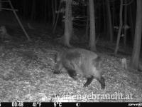 Ausgang in der Nähe von Krems 