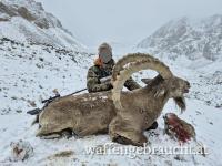 STEINBOCKJAGD KIRGISTAN