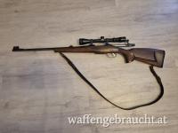 CZ550 - 243win