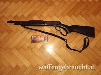 Sauenhammer - Unterhebelrepetierer Chiappa Wildlands 45-70 Gov 