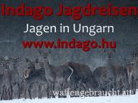 Jagen in Ungarn