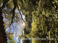 Suchen Ausgeher in einem Herrliche Wienerwaldrevier