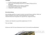 Murmeltier Abschuss in Tiroler Wipptal