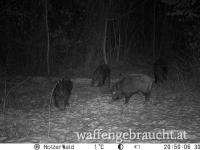 Urlaub mit Jagdmöglichkeit