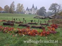 Kapitale Damhirschjagd in Ungarn, auch über 5kg möglich