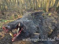 Jagdpacket in Ungarn