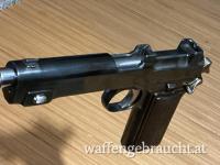 Steyr M1912 - Steyr Hahn 