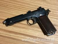 Steyr M12 - Muster12