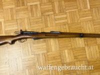 Schmidt Rubin IG 96/11