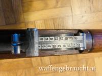 Schweizer Infanteriegewehr 96 / 11