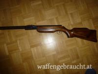 Luftdruckgewehr für Sammler