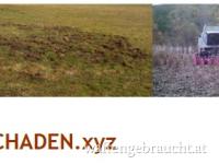 Unterstützung bei jagdlichen/forstlichen Verfahren, neuer Jagdvergabe/Pachtperiode u.a.m.!