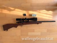 Savage 93R17            17 hmr