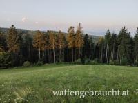 Ausgehrecht Bezirk Mattersburg 