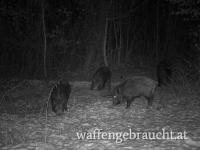 Urlaub mit Jagdmöglichkeit