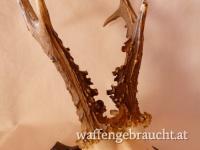 Nr. 10: Rehtrophäe auf handgeschnitztem Schild