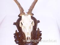 Nr. 12: Rehtrophäe auf handgeschnitztem Schild