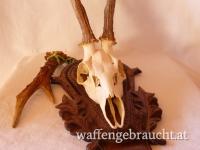 Nr. 13: Rehtrophäe auf handgeschnitztem Schild + Abwurfstange