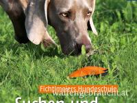 Suchen und apportieren