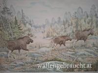 ELCHJAGDWOCHENENDE MITTELFINNLAND 10/27