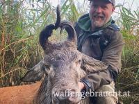 Schnitzereien und Geschenke