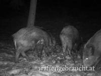 Urlaub mit Jagdmöglichkeit