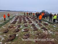 Riegeljagd in Tab Ungarn 