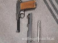 Steyr Hahn M1912