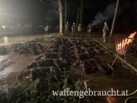 Riegeljagd auf Schwarzwild in Kroatien 