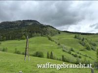 Ausgehrecht Nähe Mürzzuschlag ab dem Jagdjahr 2026/2027, Jungjäger willkommen