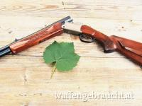 Bockbüchsflinte BLASER BBF 95  5,6x50R Mag. 16/70