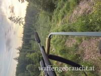 Revier zu Pachten
