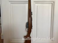 STEYR M95