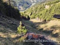 Rehbock der Klasse A oder 1 in Oberkärnten 