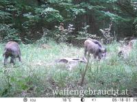 Urlaub mit Jagdmöglichkeit