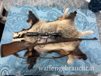 Mauser 66