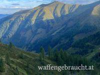 Jungjäger Reviertage mit Abschuss