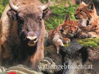 Entdecke heimische Wildtiere Ein Kinderbuch über Wisent, Luchs & Co