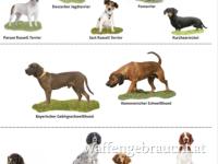Private Jagdhundeausbildung - GU STMK! Professionelle Arbeit auf der roten Fährte.