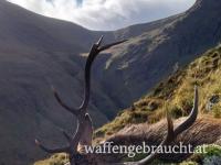 Hirschjagd in Schottland: Storno-Angebot mit 50 % Rabatt