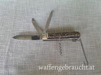 Weidmannsheil Jagd-Taschenmesser mit Hirschhorn