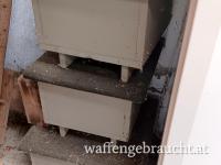 Wildschwein Kirrung 
