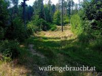 Geführtes Jagdwochenende für Jungjäger & Jungjägerinnen im Südburgenland