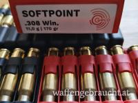 .308 Win Munition 